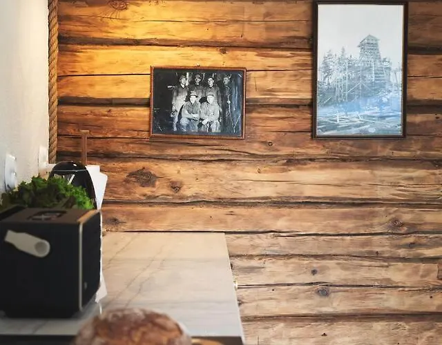 North - Junnola Hébergement de vacances